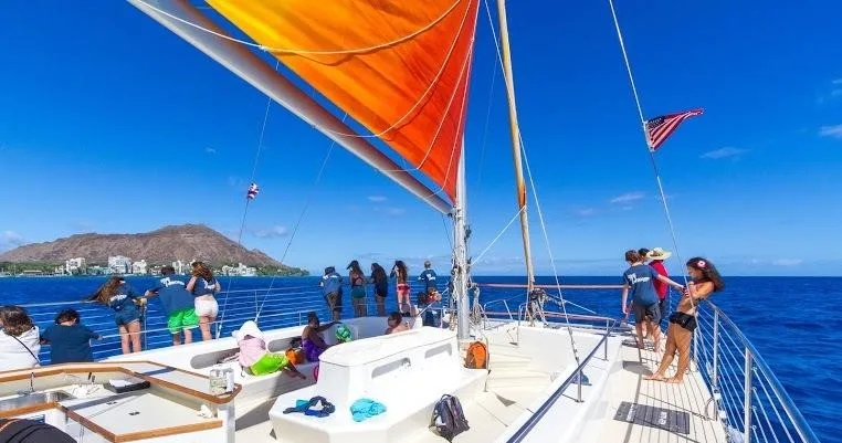 Snorkelers swimming near coral reefs in Turtle Canyon