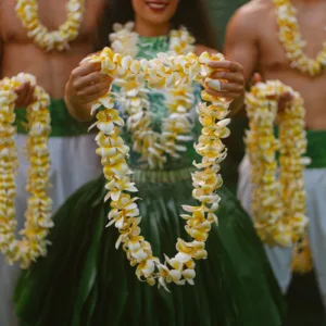 Hawaiian performers dancing at standard dinner show