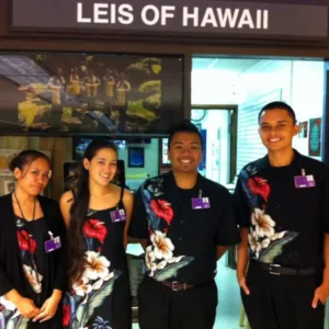 Airport meet and assist service in Hawaii