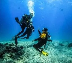 Scuba diving beginners learning underwater skills