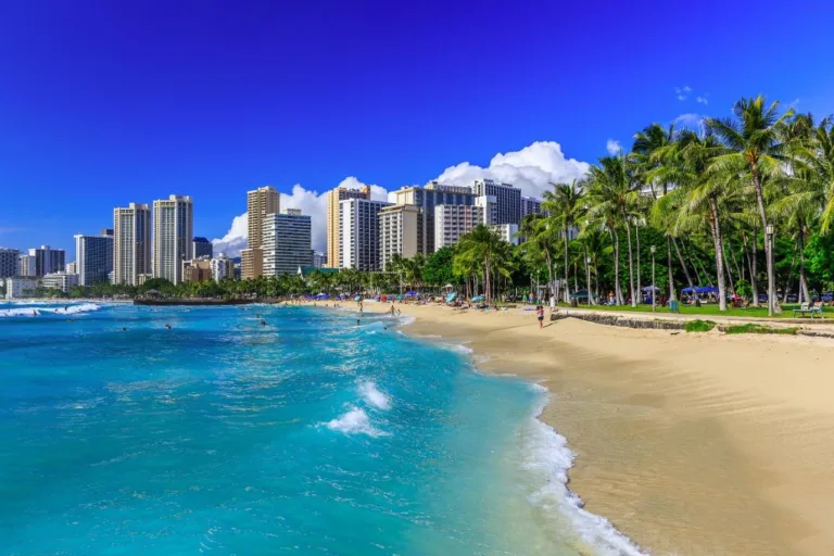 Private Transfer to Honolulu & Waikiki from Islandwide
