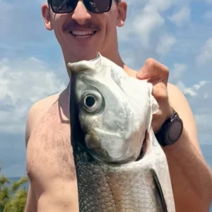 Private spearfishing and freediving session