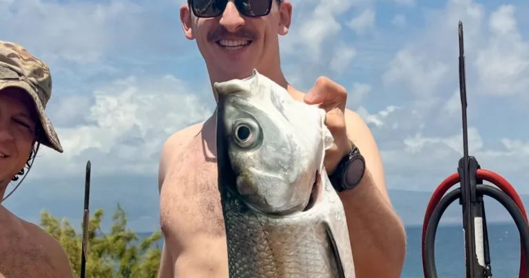 Private Spearfishing and/or Freediving