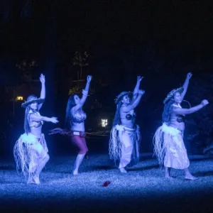 Hula dancer performing traditional dance in Hawaii