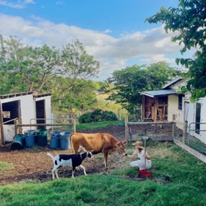 Group touring a regenerative agriculture farm in Kula