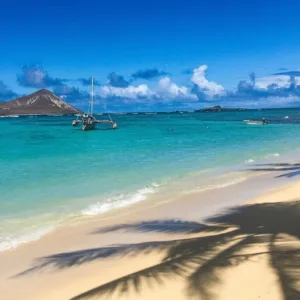 Tour guide showing Oahu landmarks to visitors
