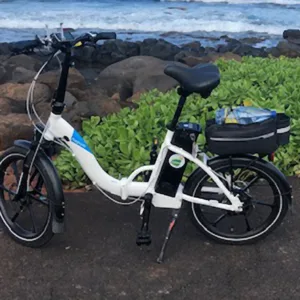 Electric bicycle parked on Kauai trail
