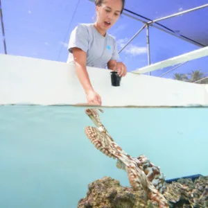 Small group on a private tour at octopus farm