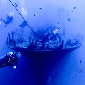 Scuba diver exploring coral reef underwater