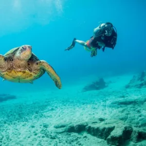 Certified divers ready for two tank shore dive in Kauai