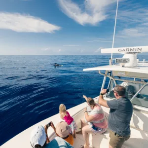 Center-console boat Callisto ready for private whale watching