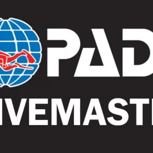 Diver studying digital materials for Divemaster certification