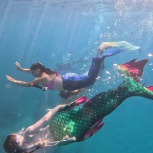 Person wearing mermaid tail swimming in pool