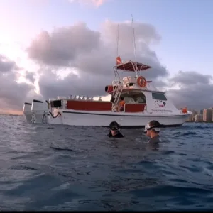 Person using laptop to study diving course online