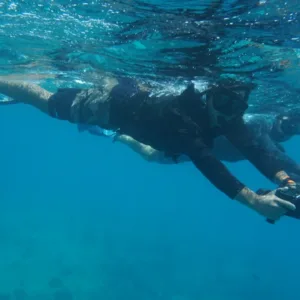 Small group riding jet snorkels near sea turtles