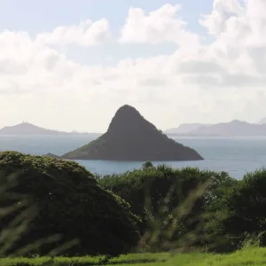 Group exploring Oahu on full circle island tour