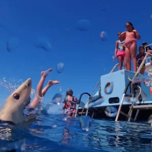 Children learning scuba skills in a swimming pool