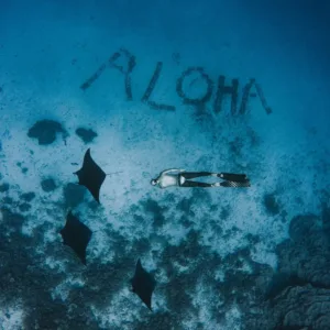 Instructor teaching freediving safety in a pool
