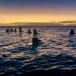 Couple enjoying sunset paddleboarding tour
