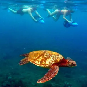 Couple snorkeling in clear waters at Wailea Beach