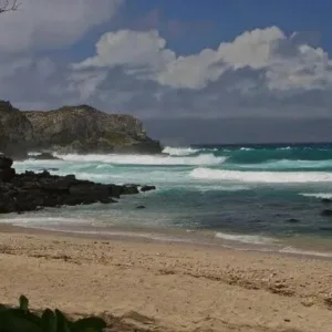 Tour guide showing island sights to visitors