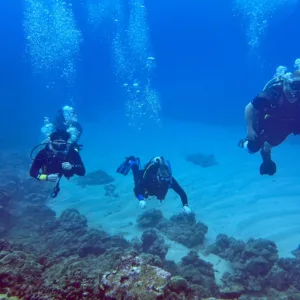 Diver preparing for shore dive on lush Hawaiian coast