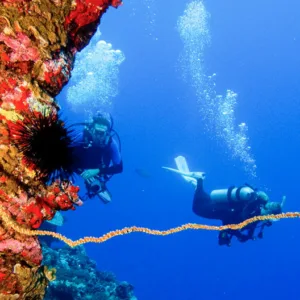 Divers exploring Molokini Backwall underwater wall