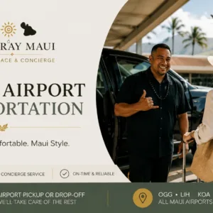 Private Airport Transportation Request experience overview