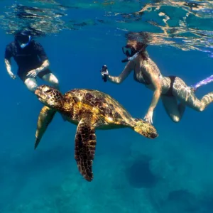 Set of snorkeling gear including mask, snorkel, and fins