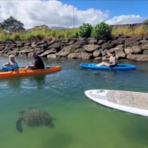 Small group paddleboarding on calm river