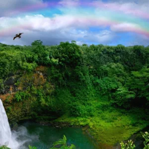Waterfall surrounded by tropical foliage in Kauai