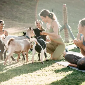 Private goat yoga event with photo opportunities