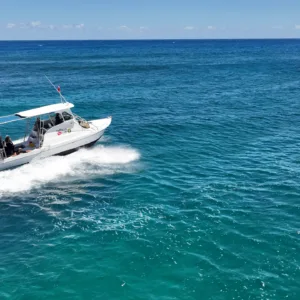 Two-tank boat dive with full equipment rental and guide briefing