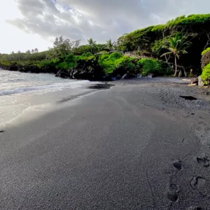 Tour group exploring Maui's scenic Road to Hana