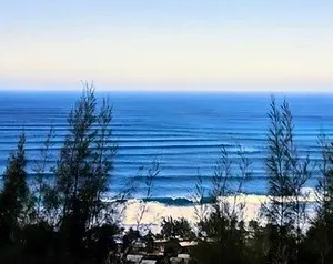 Tour group visiting North Shore wildlife spots