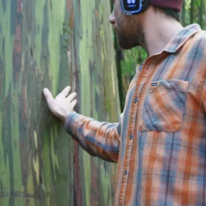Wellness journey combining music, movement, and nature