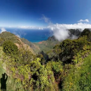 Tour group visiting Kauai’s Waimea Canyon and waterfalls