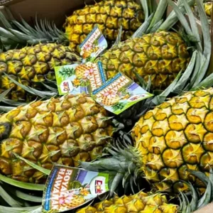 Dole Pineapple Farm with ripe pineapples