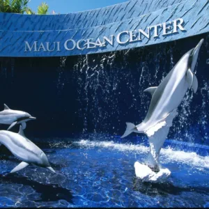 Admission ticket to Maui Ocean Center aquarium