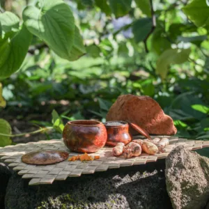 Lāʻau Lapaʻau Traditional Medicine Tour