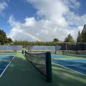 Morning pickleball lesson followed by open play session