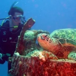 Boat seat available for insured dive professionals