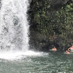 Sunday cruise ship day trip on Maui’s Road to Hana