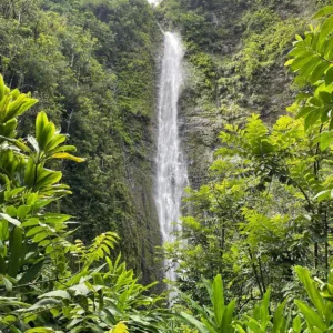 Private tour vehicle driving Maui's Road to Hana