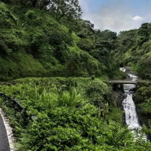 Nature lovers observing Rainbow Falls in Hilo