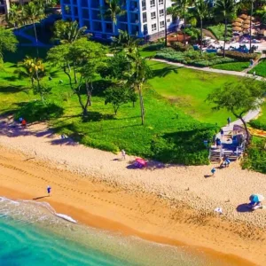 Two beach chairs with umbrella set up on sand