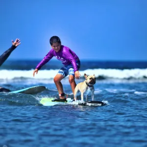 Surf instructor giving private lesson on sandy beach