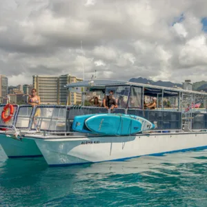 Daytime private charter with snorkeling near turtles