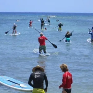 Stand-up paddleboards available for rent by vans in parking lot