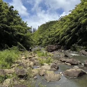 Small group on private half-day island sightseeing tour
